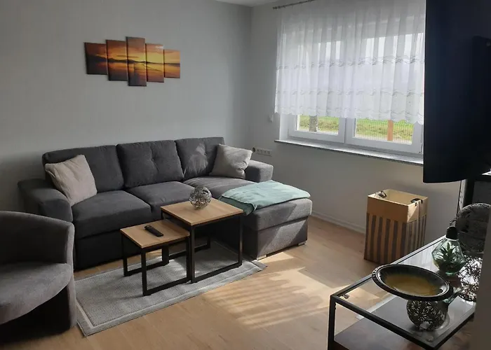 Neu! Kurio * Sallgast